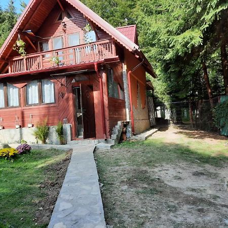 Casuta Paterau Cheia, Prahova Villa Cheia  Exteriör bild
