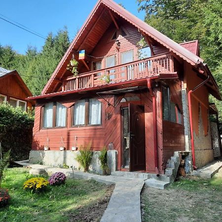 Casuta Paterau Cheia, Prahova Villa Cheia  Exteriör bild