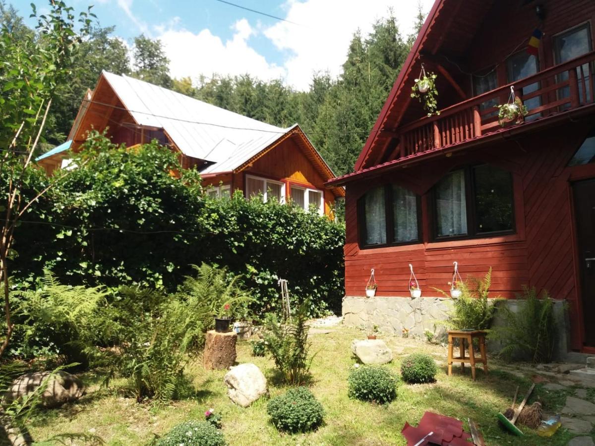 Casuta Paterau Cheia, Prahova Villa Cheia  Exteriör bild