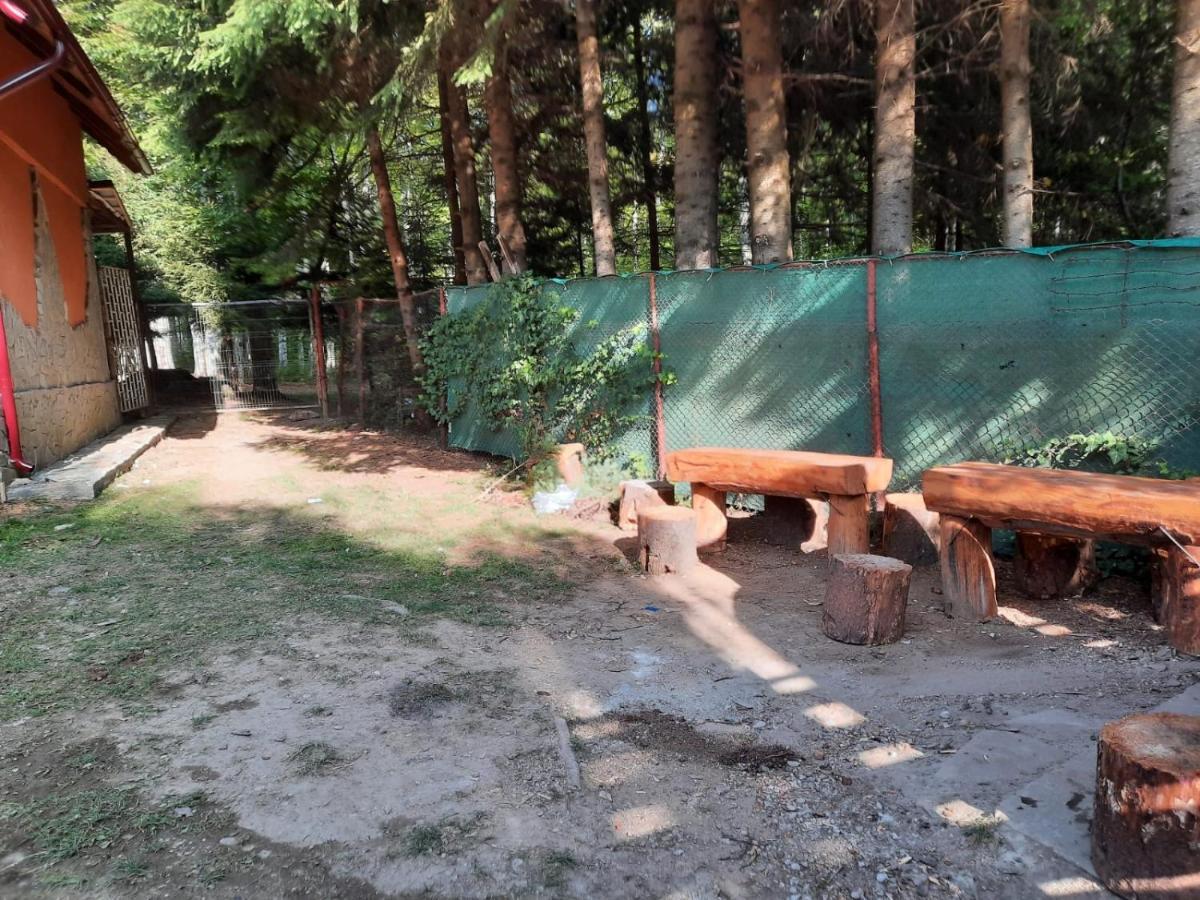 Casuta Paterau Cheia, Prahova Villa Cheia  Exteriör bild