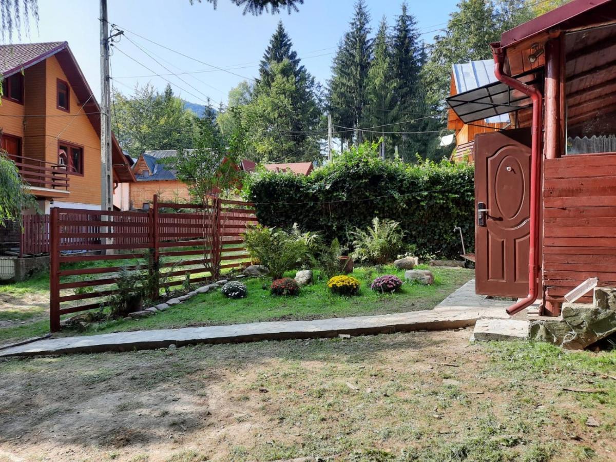 Casuta Paterau Cheia, Prahova Villa Cheia  Exteriör bild